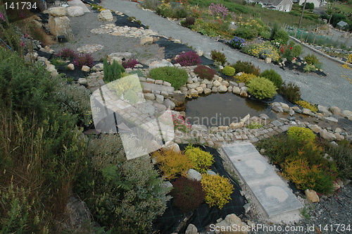 Image of garden pond