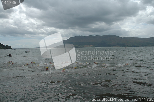 Image of swimming at rostrevor