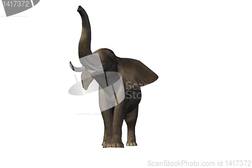 Image of ELEPHANT 2