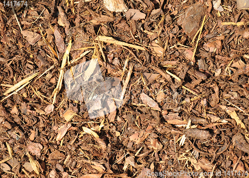 Image of Bark mulch