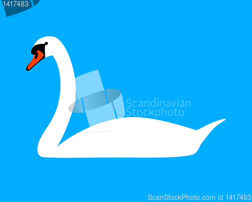 Image of White swan