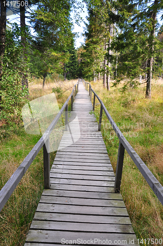 Image of Corduroy way in a bog