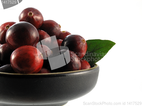 Image of cranberries