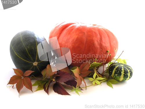 Image of pumpkin