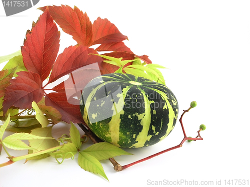 Image of pumpkin