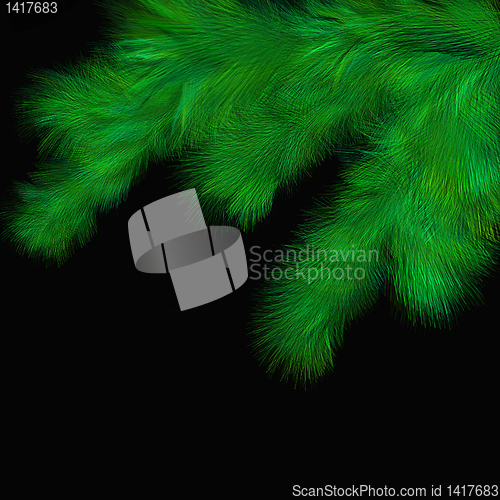 Image of abstract fir twig