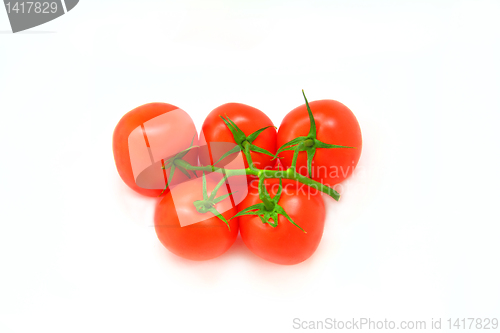 Image of tomatoes on a branch