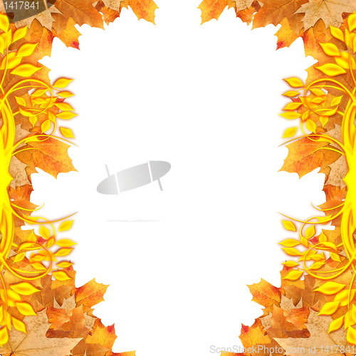 Image of frame maple leaves
