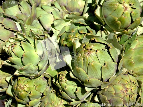 Image of Artichokes on the sun