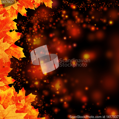 Image of frame maple leaves