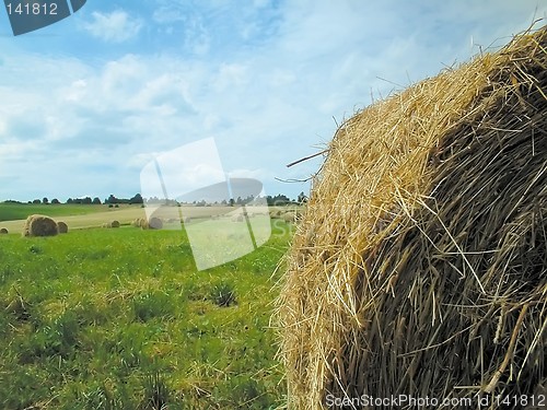 Image of farmland