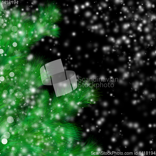 Image of abstract fir twig