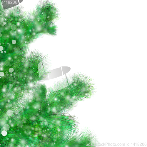 Image of abstract fir twig