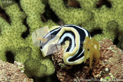 Image of under water