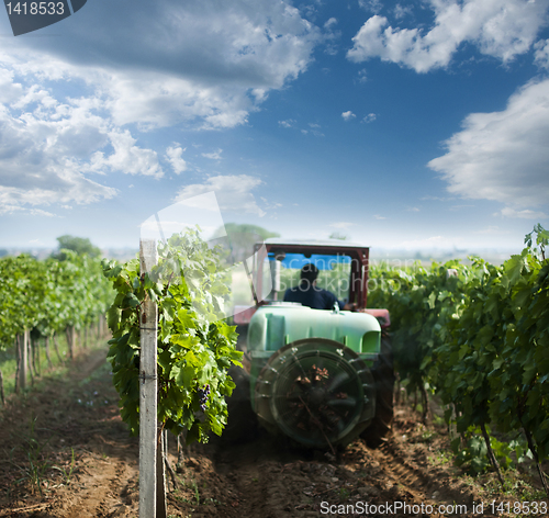 Image of Tractor spraying vineyards with chemicals