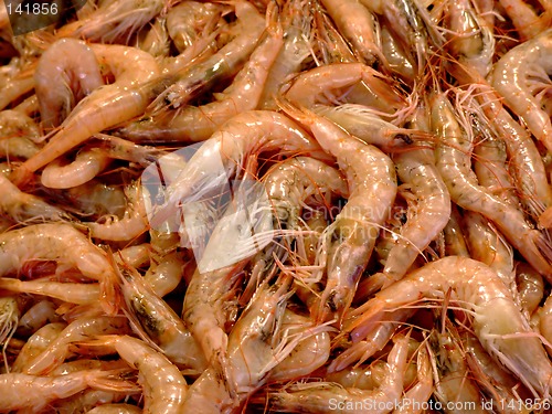 Image of Bunch of shrimps