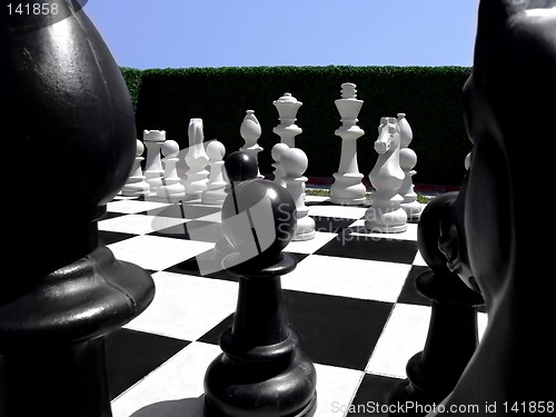 Image of Chess in a garden