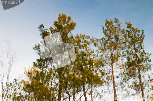 Image of Reflection of trees in water