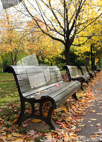 Image of autumn park road