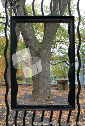 Image of framed tree