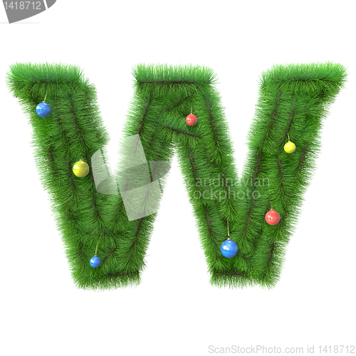 Image of W letter made of christmas tree branches