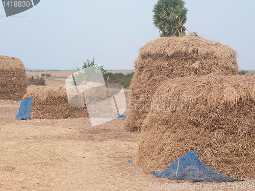 Image of Stacks of hay in Cambodia