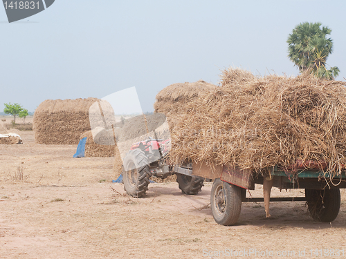 Image of Stacks of hay in Cambodia