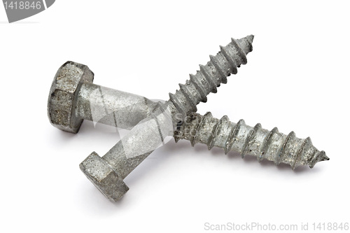 Image of Two screws