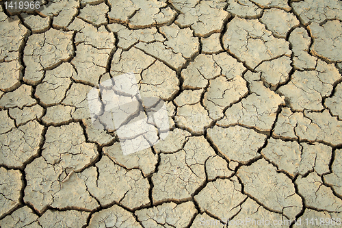 Image of Cracks in the ground.