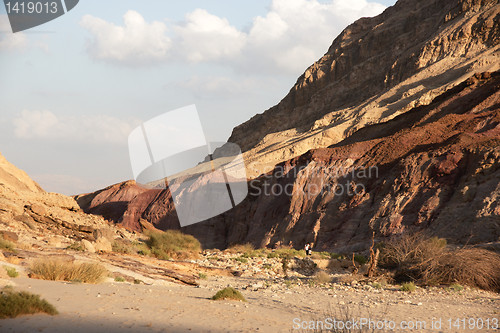 Image of Desert landscapes