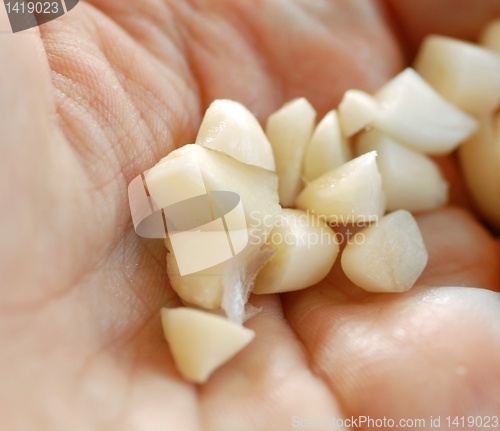 Image of Chopped garlic on hand