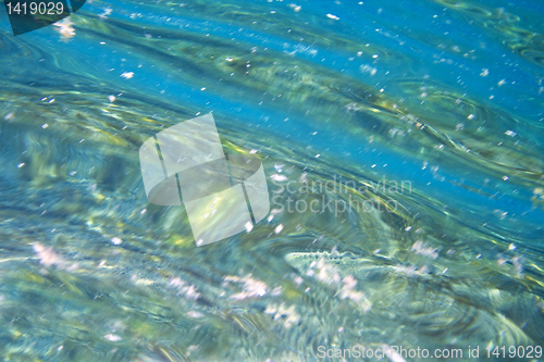 Image of Underwater abstract.