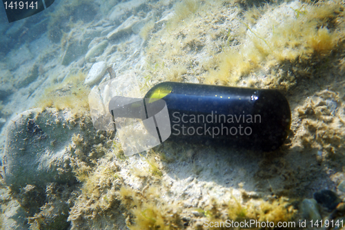 Image of A bottle of wine under the water.