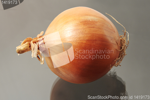 Image of Onions.