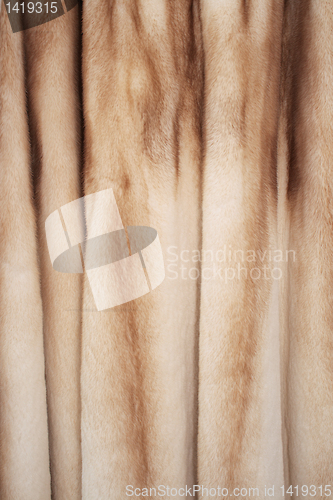 Image of Fur coat.
