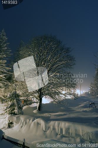 Image of Winter in Pragelato