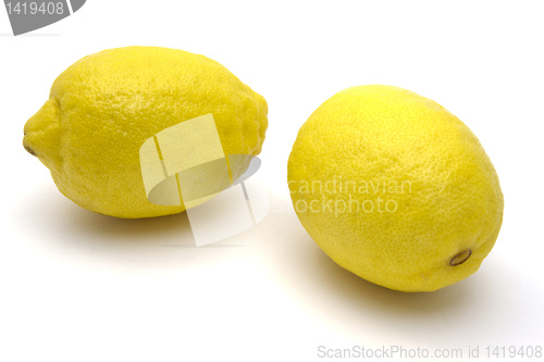 Image of Lemon