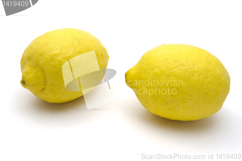 Image of Lemon