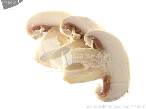 Image of fresh champignon 