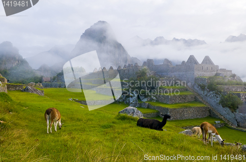 Image of Machu Pichu