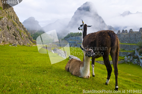 Image of Machu Pichu