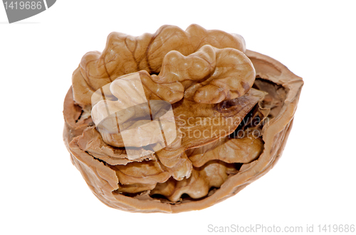 Image of Crack walnut