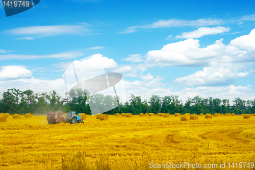 Image of grain field