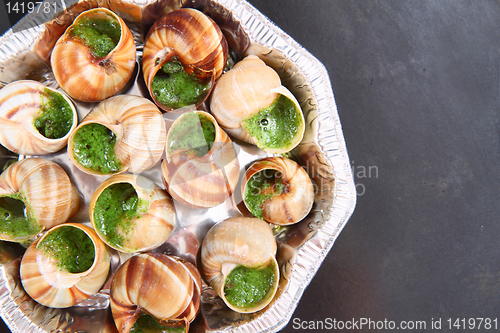 Image of snails as nice french gourmet food background