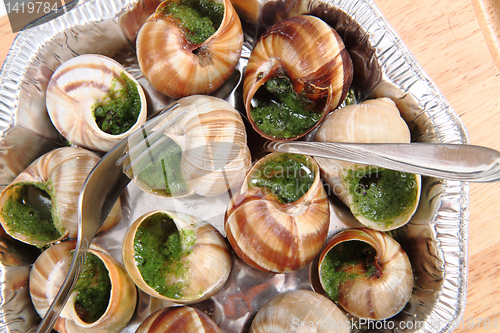 Image of snails as nice french gourmet food background