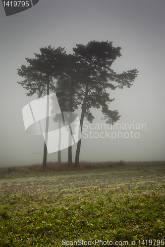 Image of nebel