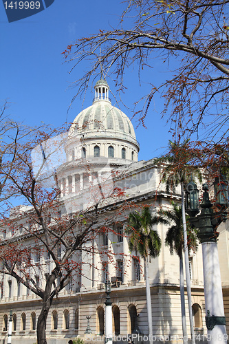 Image of Havana