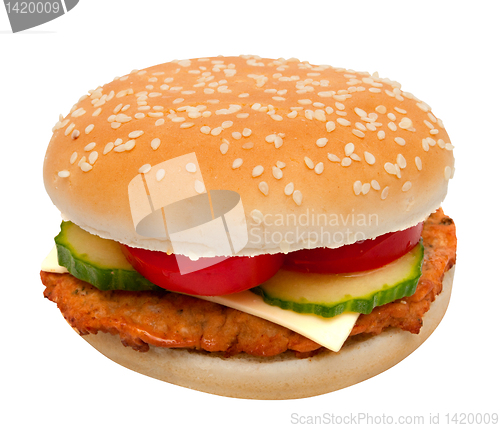 Image of Turkey Cheeseburger 