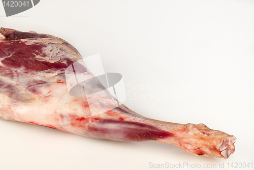 Image of Lamb shank