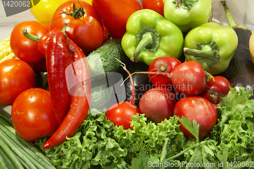 Image of Colorful fresh group of vegetables